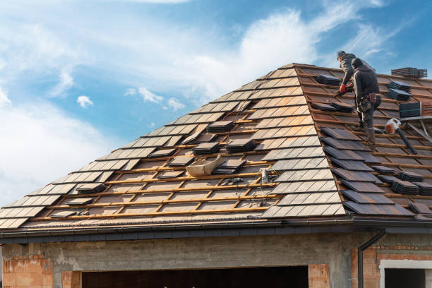 Best Roof Insulation Installation  in Wekiwa Springs, FL